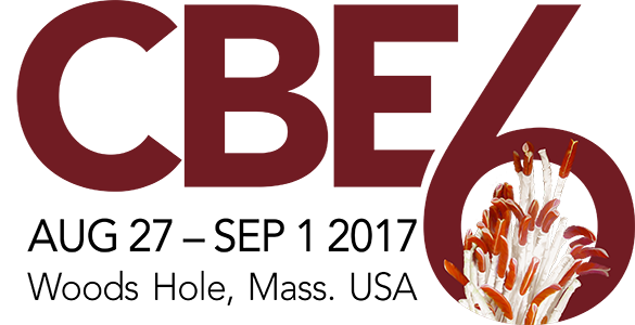 CBE6